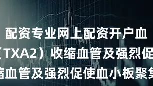 配资专业网上配资开户血栓素A2（TXA2）收缩血管及强烈促使血小板聚集