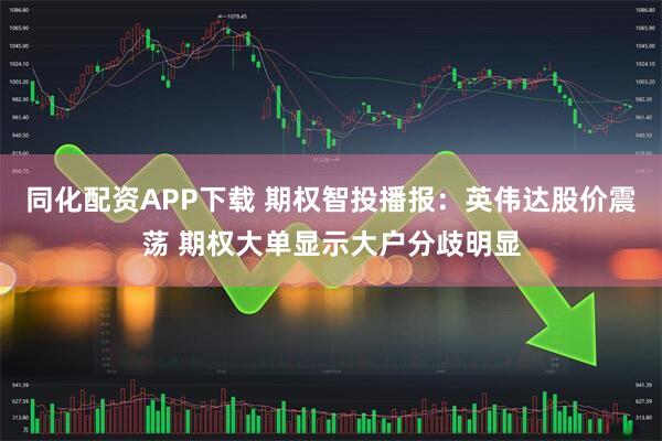 同化配资APP下载 期权智投播报：英伟达股价震荡 期权大单显示大户分歧明显