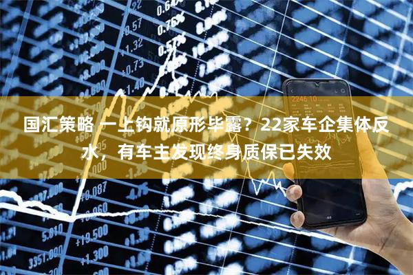 国汇策略 一上钩就原形毕露？22家车企集体反水，有车主发现终身质保已失效