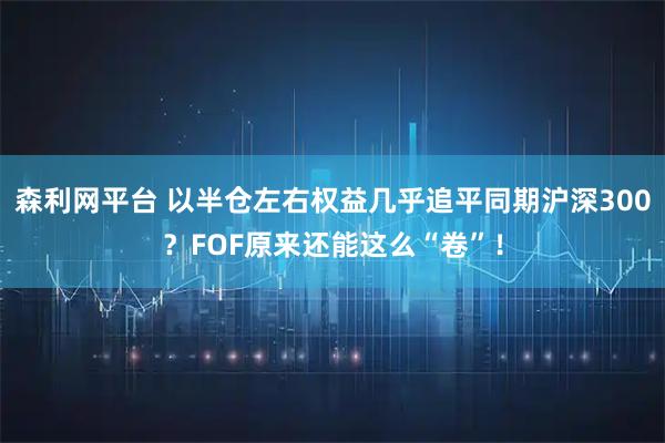 森利网平台 以半仓左右权益几乎追平同期沪深300？FOF原来还能这么“卷”！